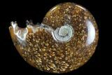 Polished, Agatized Ammonite (Cleoniceras) - Madagascar #97253-1